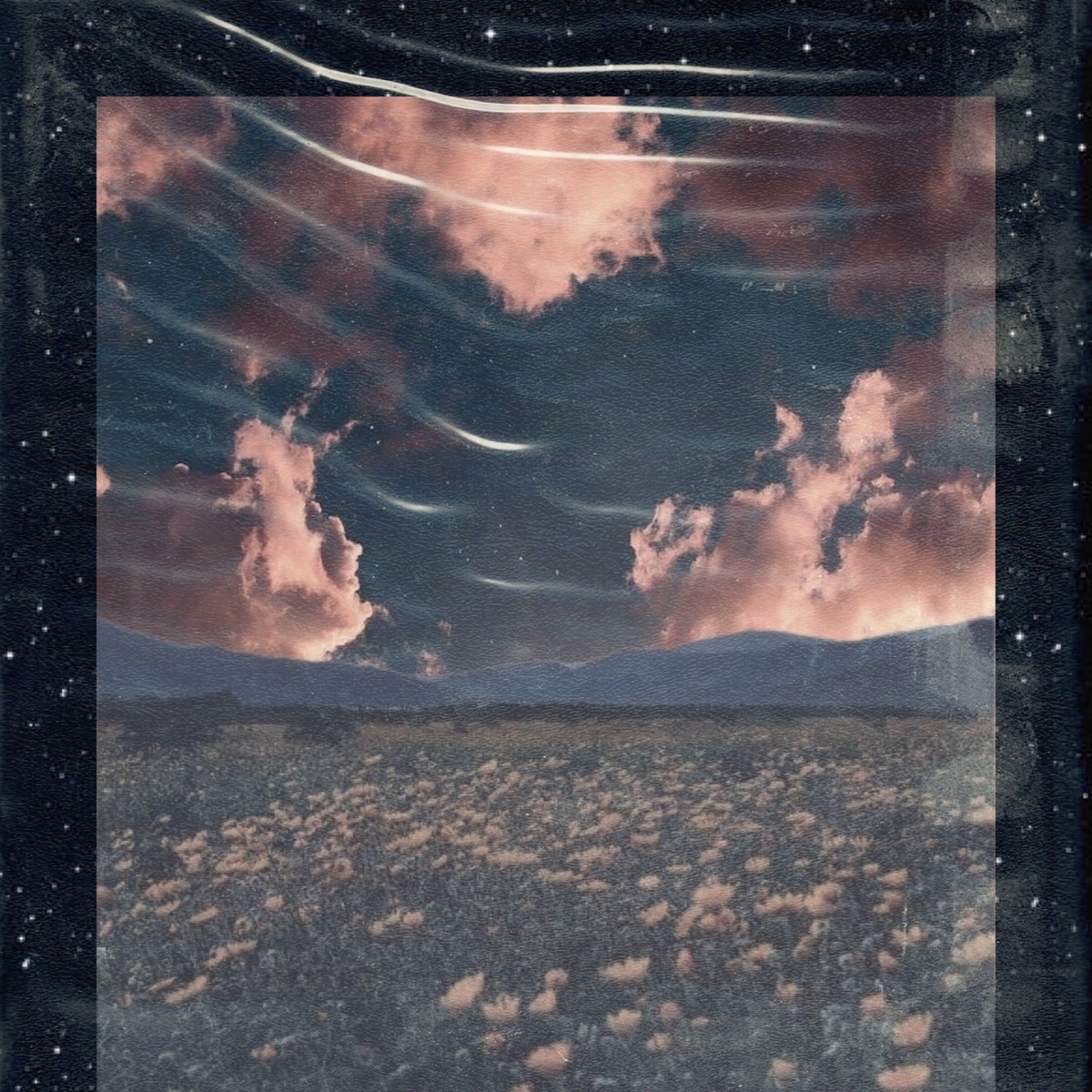 Sandown Road - Single by Culpeo album cover
