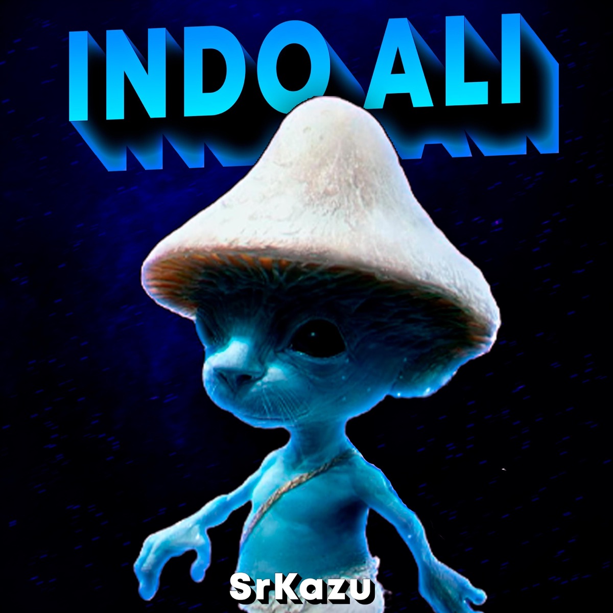 BEAT INDO ALI (Funk Remix) - Single by srkazu album cover