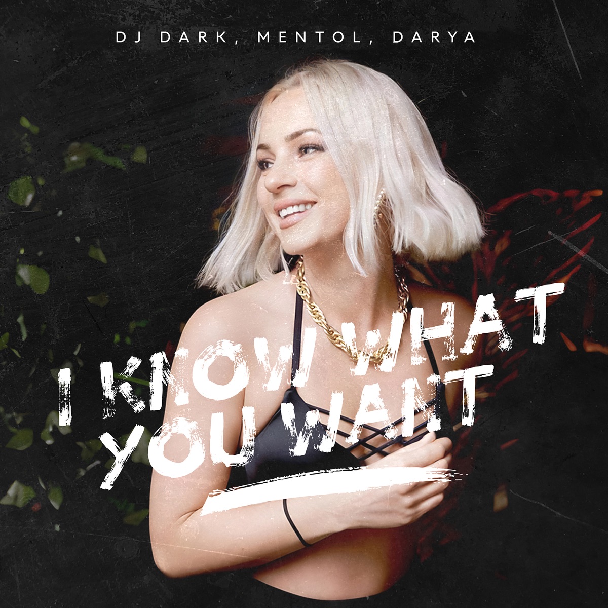 I Know What You Want - Single by Dj Dark, Mentol & Darya album cover