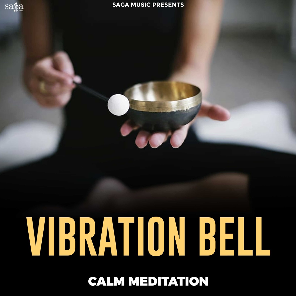 Vibration Bell - Single by Mr Wow album cover