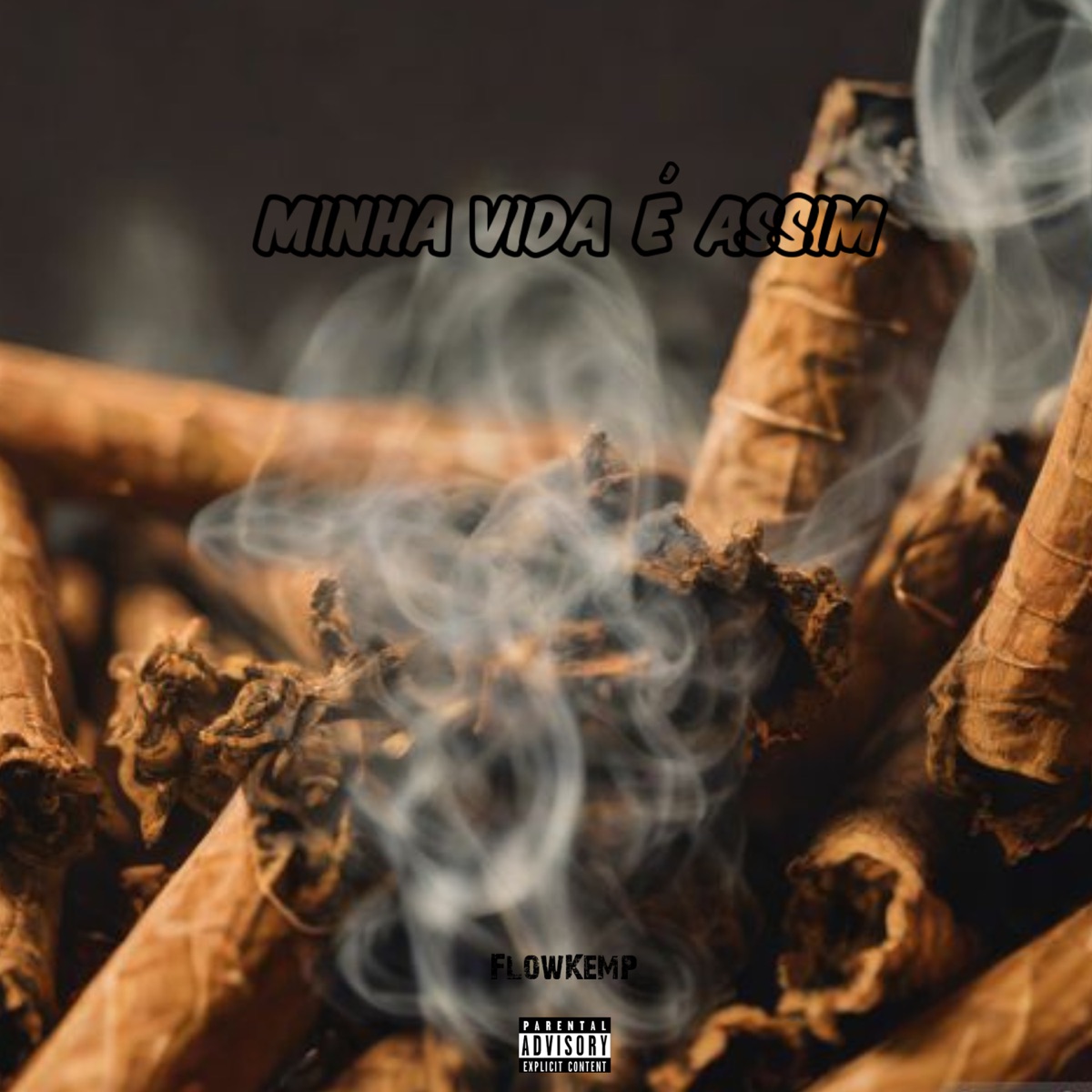 Minha Vida é Assim - Single by FLOWKEMP album cover
