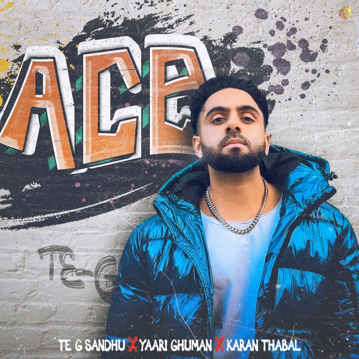 Ace - Single by Te-G Sandhu album cover