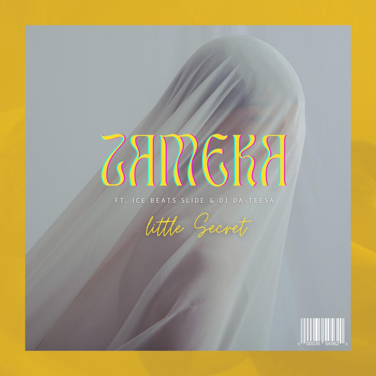 Little Secret (feat. Ice Beats Slide & Dj Da Tee) - Single by Zameka album cover