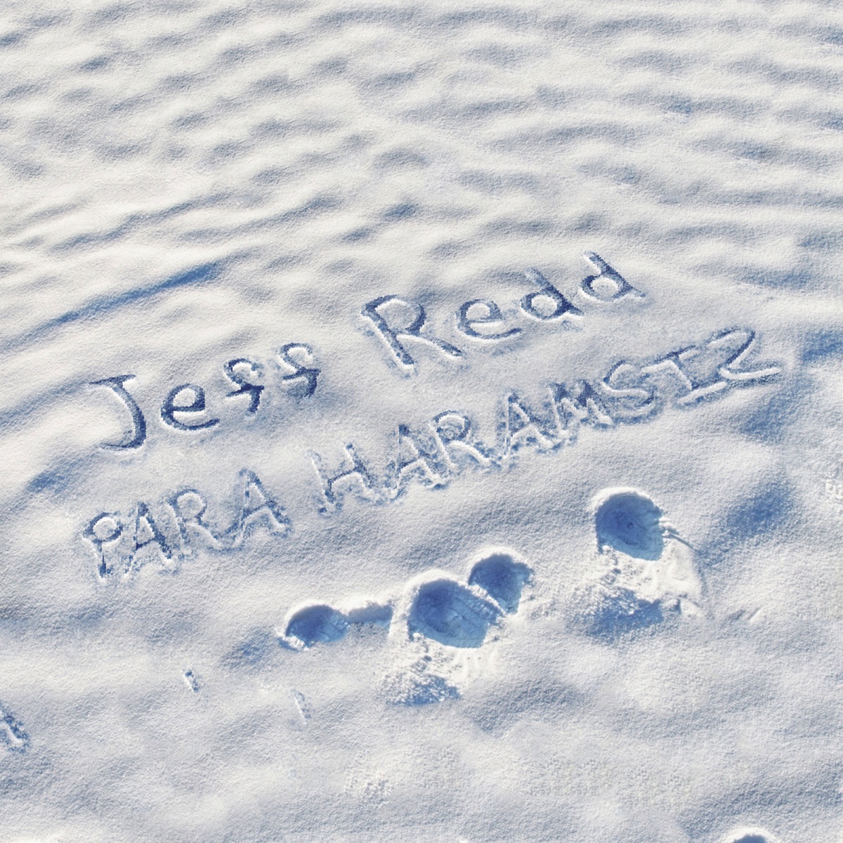 Para Haramsız - Single by Jeff Redd album cover