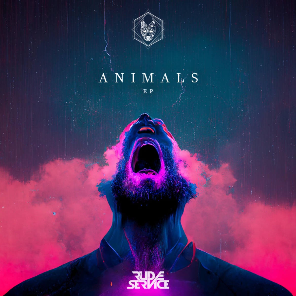 Animals EP by Vastive album cover