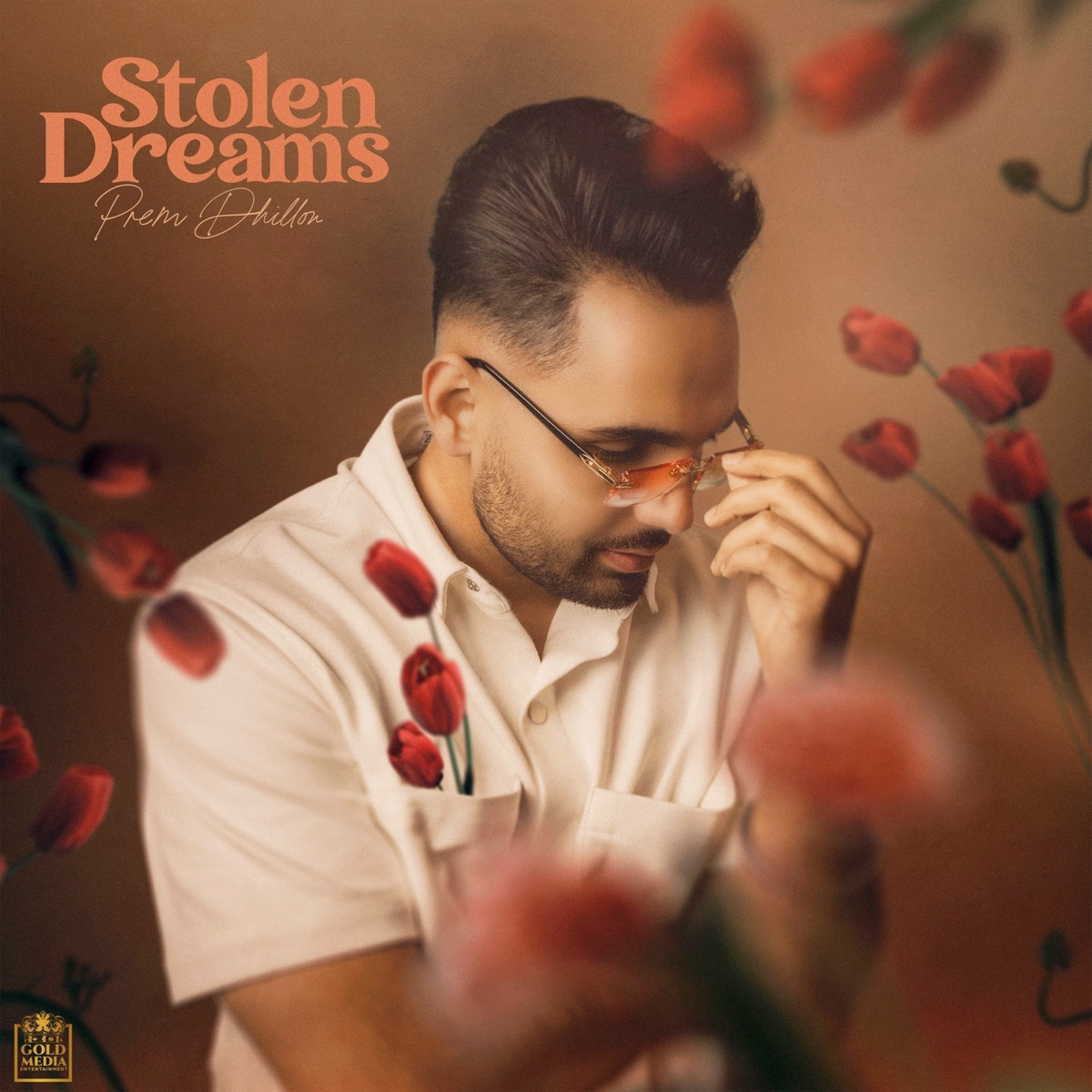 Stolen Dreams - Single by Prem Dhillon album cover