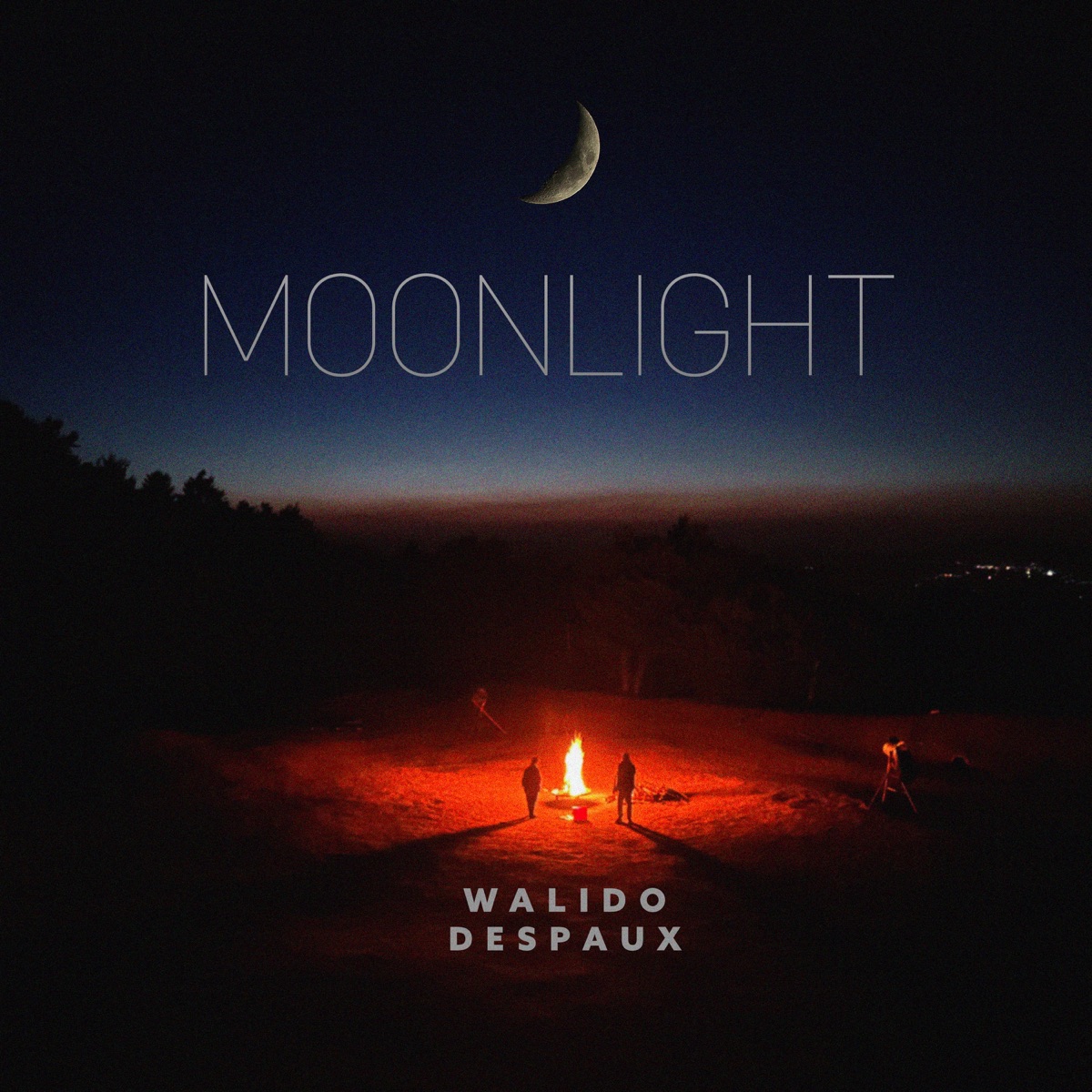 Moonlight - Single by DEspaux & Walido album cover