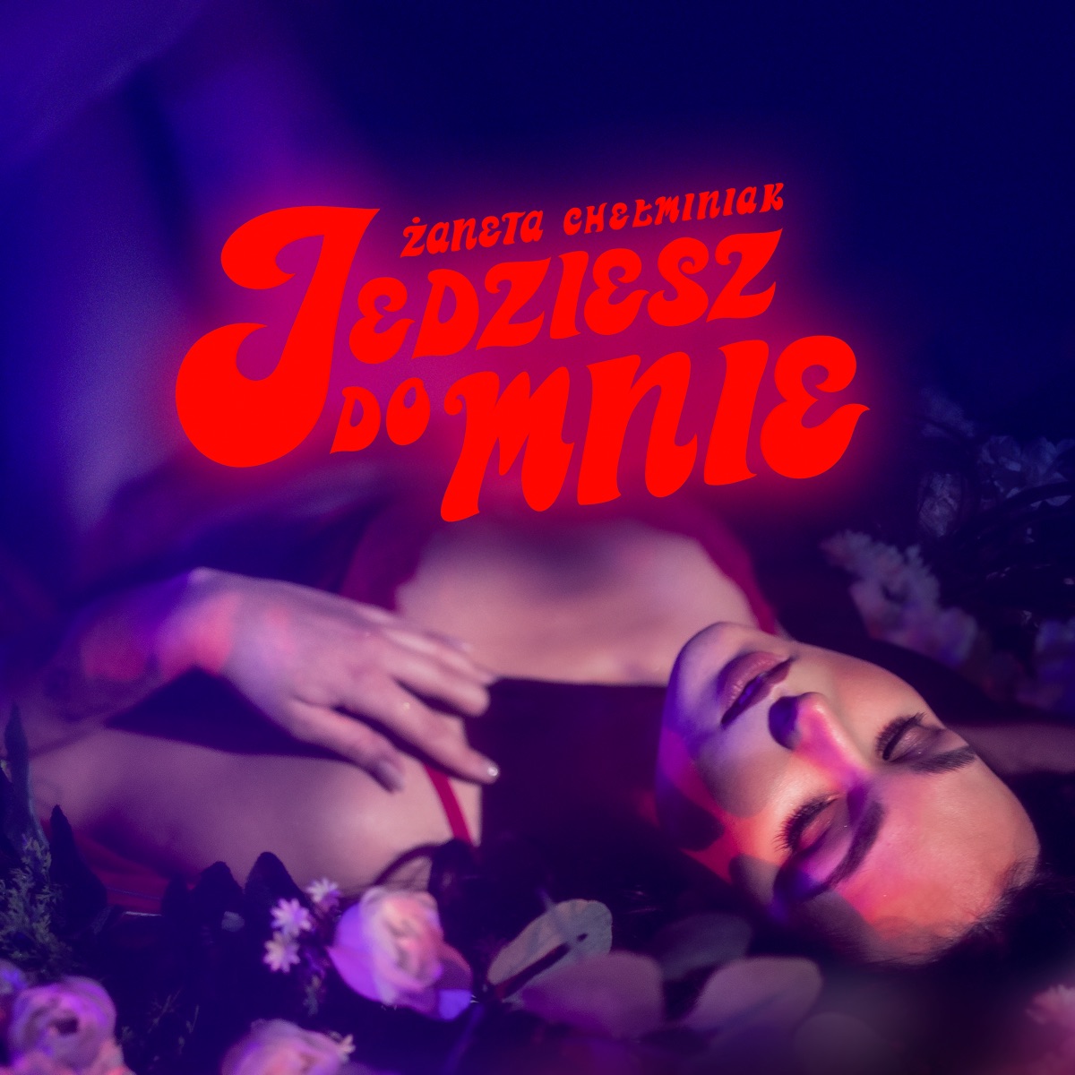 Jedziesz do mnie - Single by Żaneta Chełminiak & St. Elmo album cover