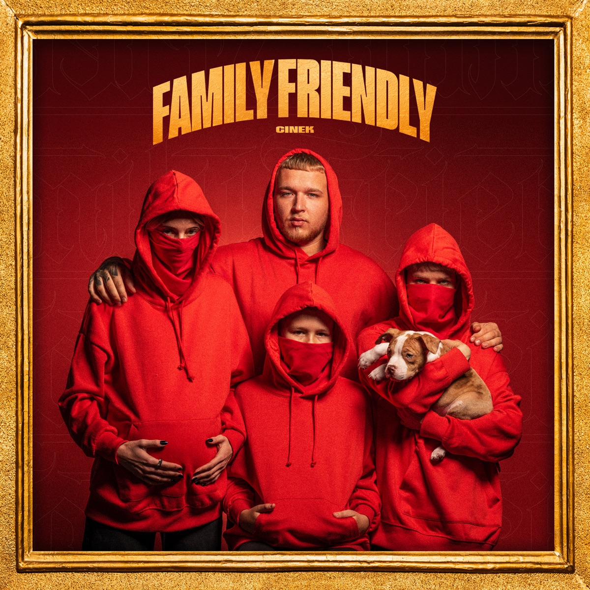 FAMILY FRIENDLY by Cinek album cover