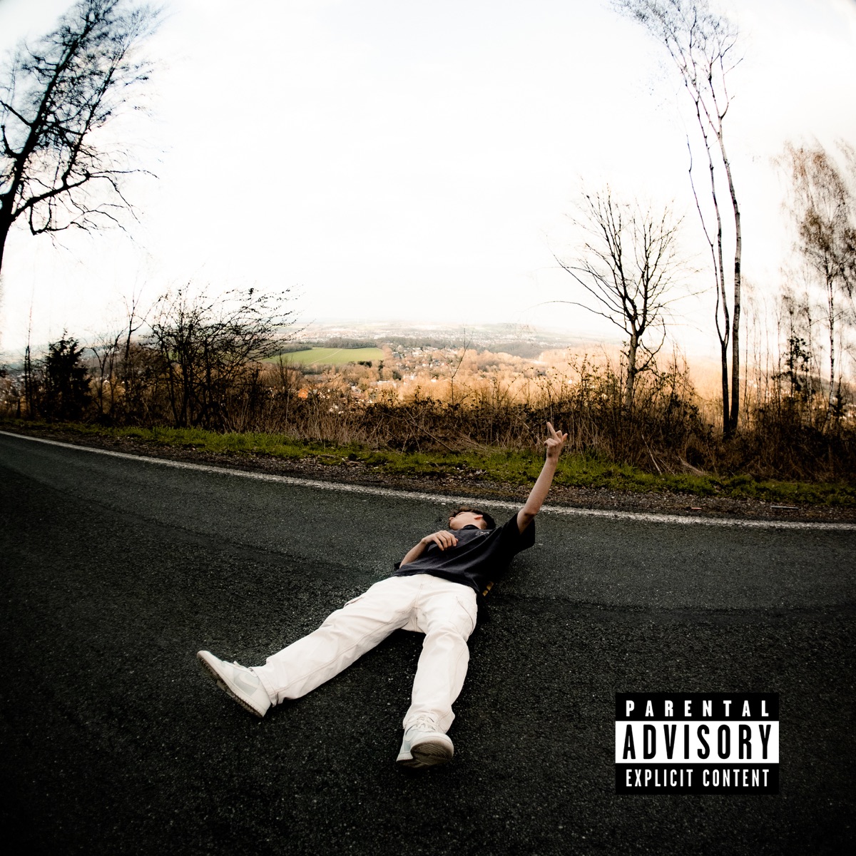 Niemals - Single by majin wav, JONAS & prodbylaurenz album cover