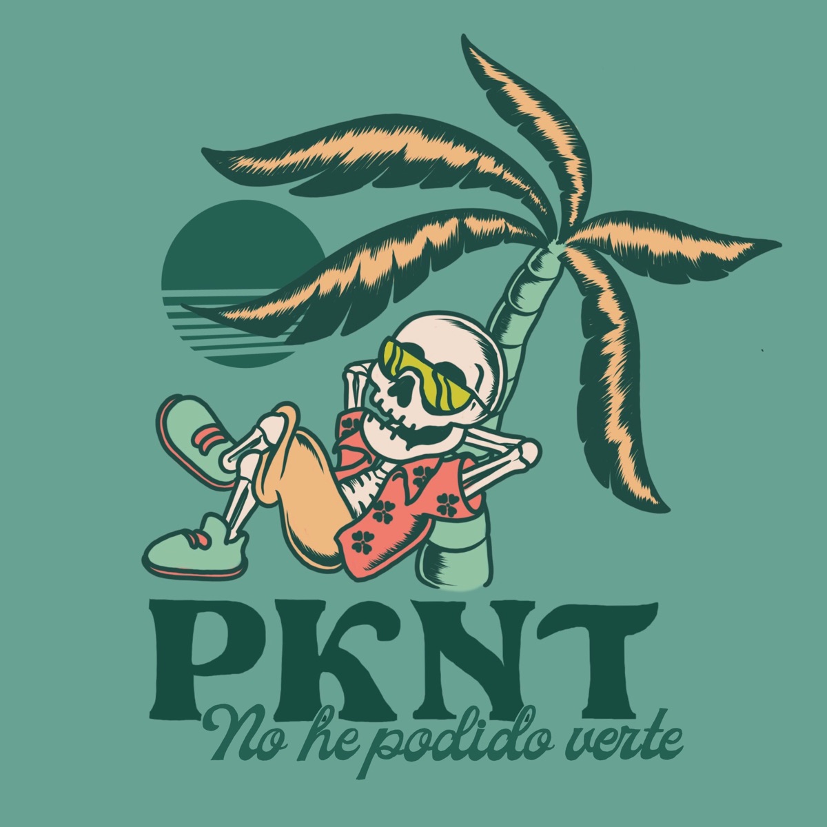 No He Podido Verte (Single) by PKNT album cover