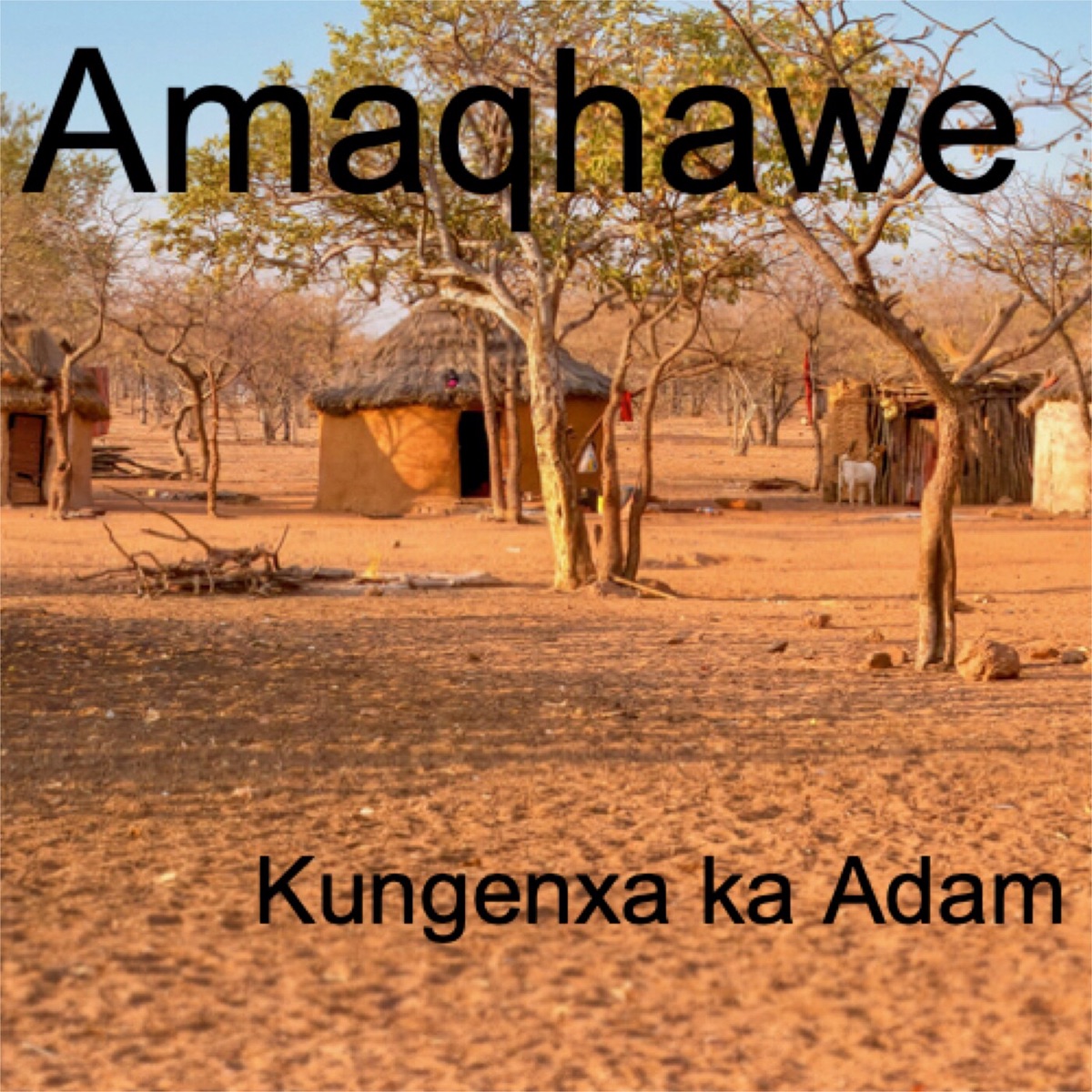 Kungenxa Ka Adam by Amaqhawe album cover