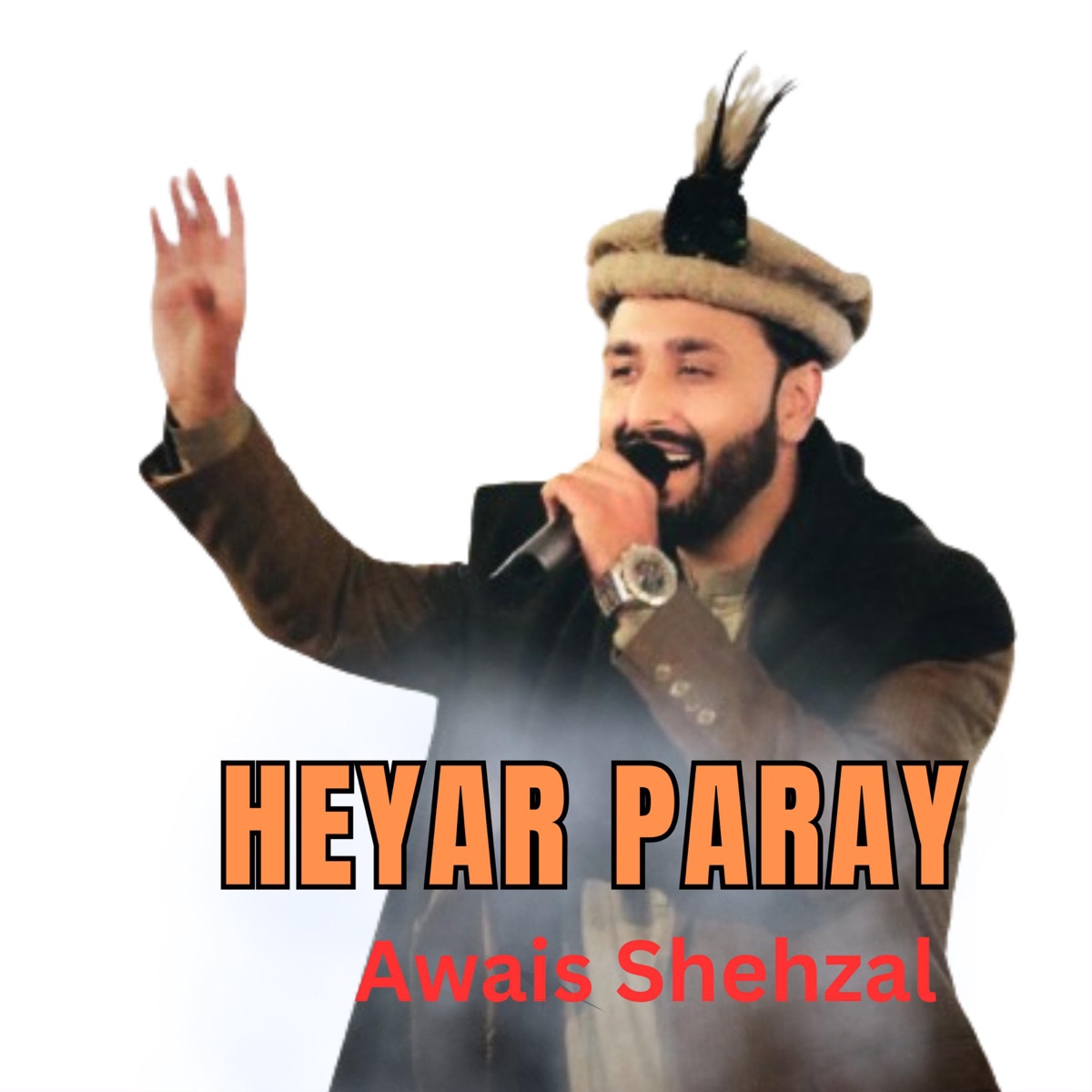 Heyar Paray (Shina Song) - Single by Awais Shehzal album cover
