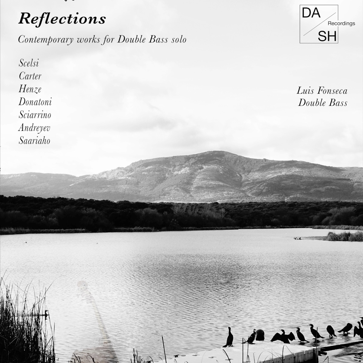 Reflections - Contemporary Works for Double Bass Solo by Luis Fonseca album cover