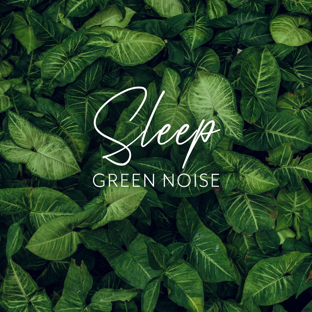 Sleep: Green Noise by Victoria Dreams & Focus Green Noise album cover