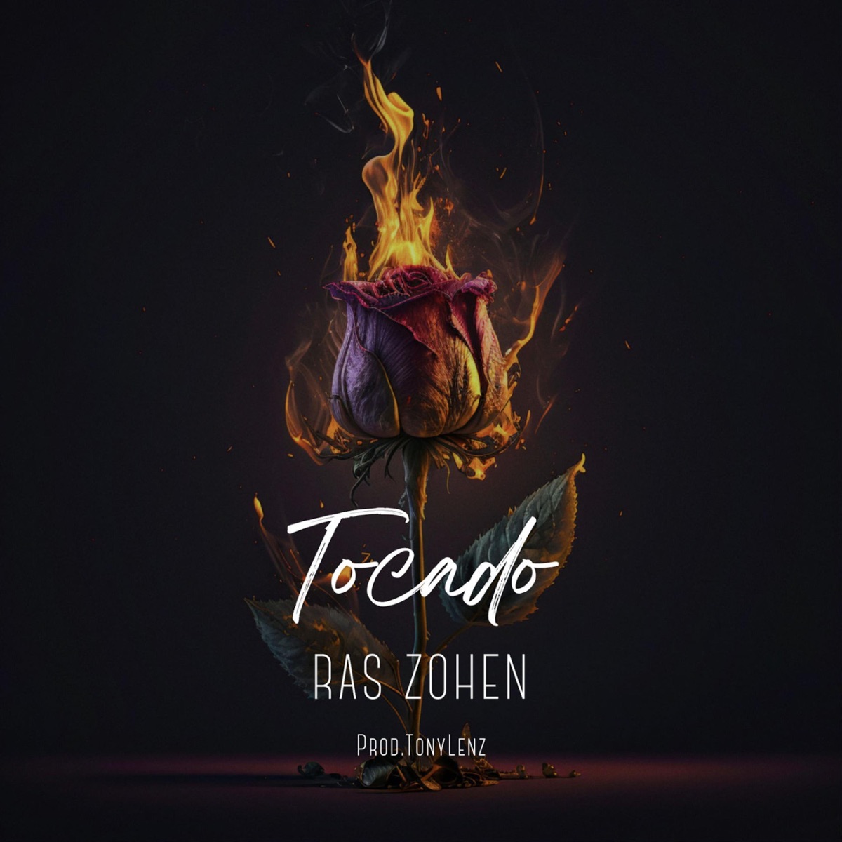 Tocado - Single by Ras Zohen & Tony Lenz album cover
