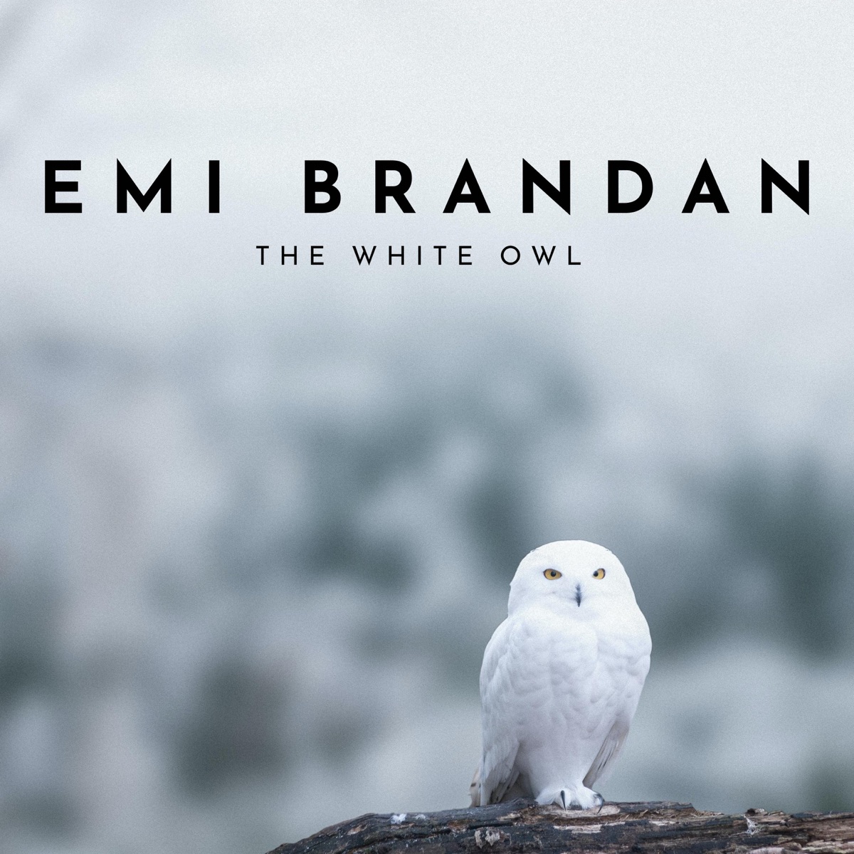The White Owl - Single by Emi Brandan album cover