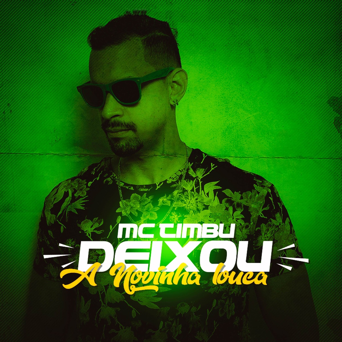 Deixou a Novinha Louca - Single by MC Timbu album cover