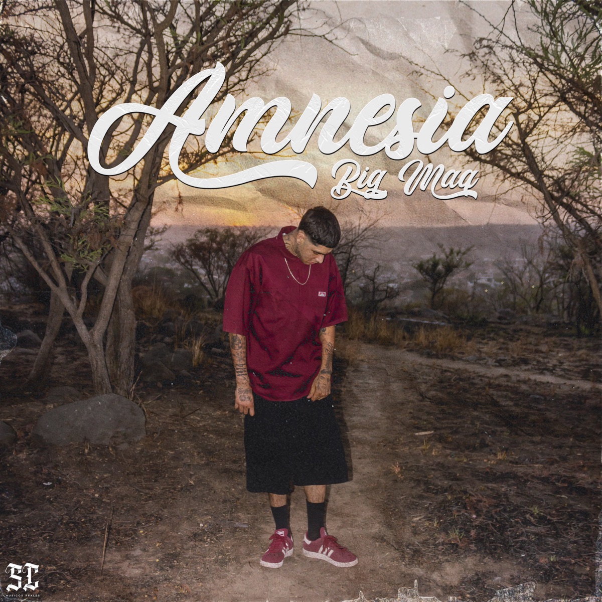 Amnesia - Single by BigMAQ album cover
