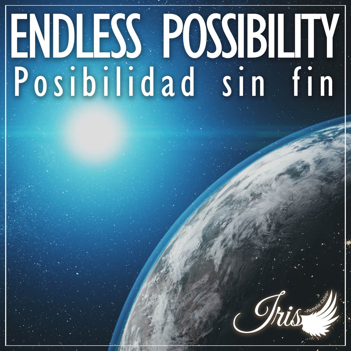 Endless Possibility / Posibilidad Sin Fin (feat. Lufca) - Single by Iris ~Pamela Calvo~ album cover
