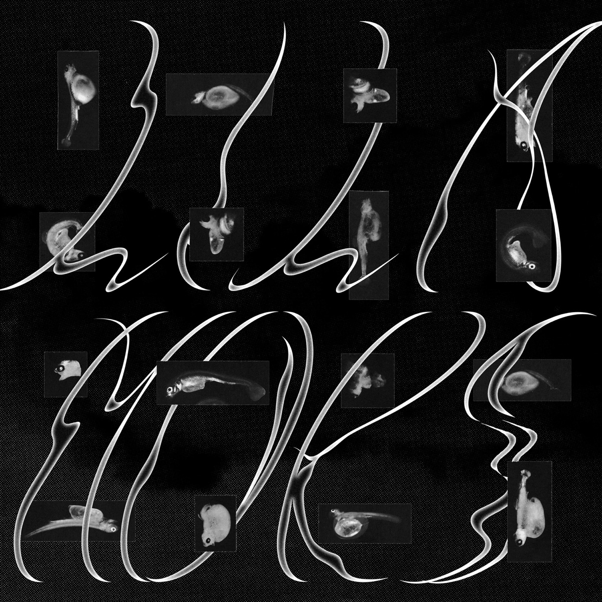 When I Am Dead, My Dearest (feat. Thilo Seevers & Jaka Arh) by LILAMORS & Ana Čop album cover