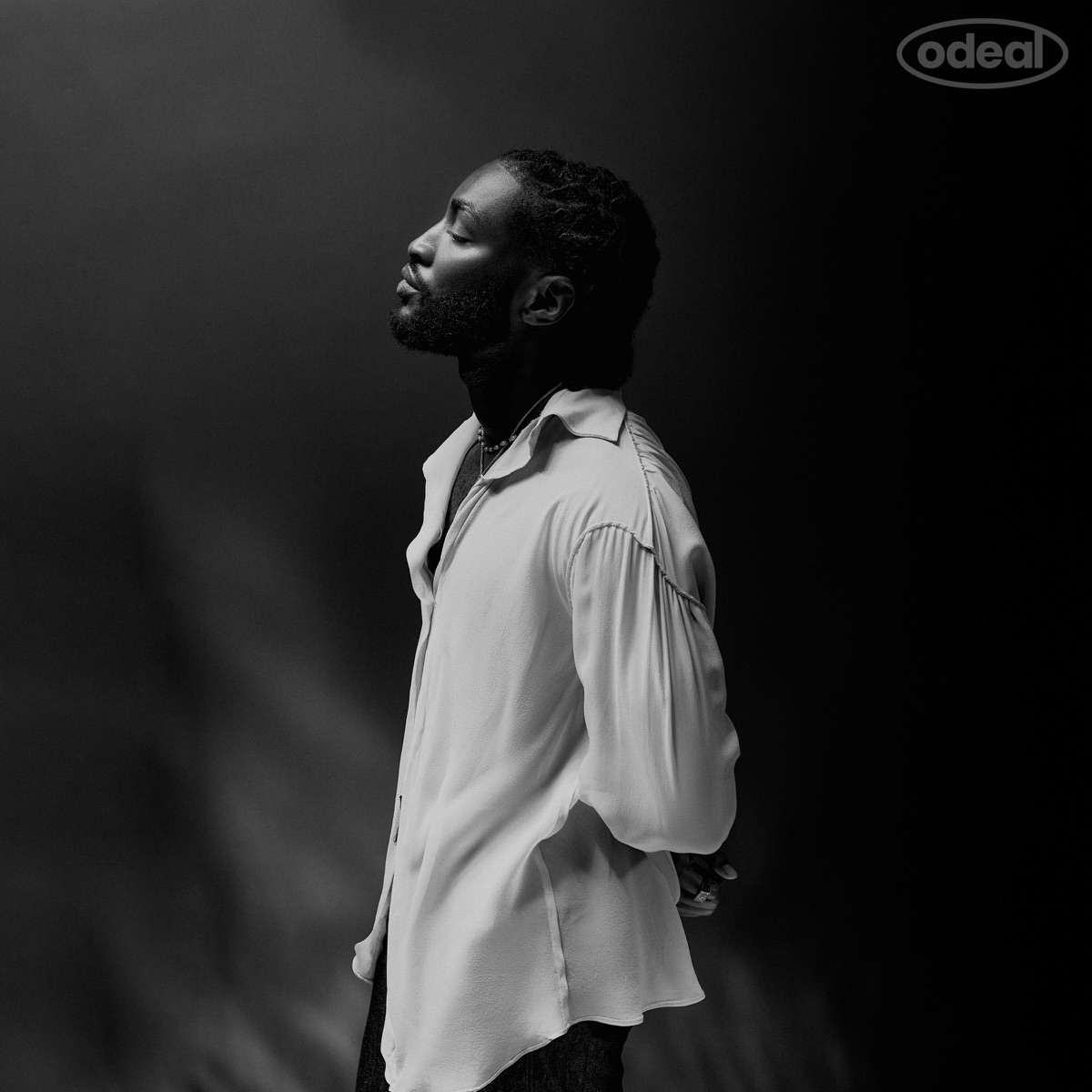 Thoughts I Never Said by Odeal album cover