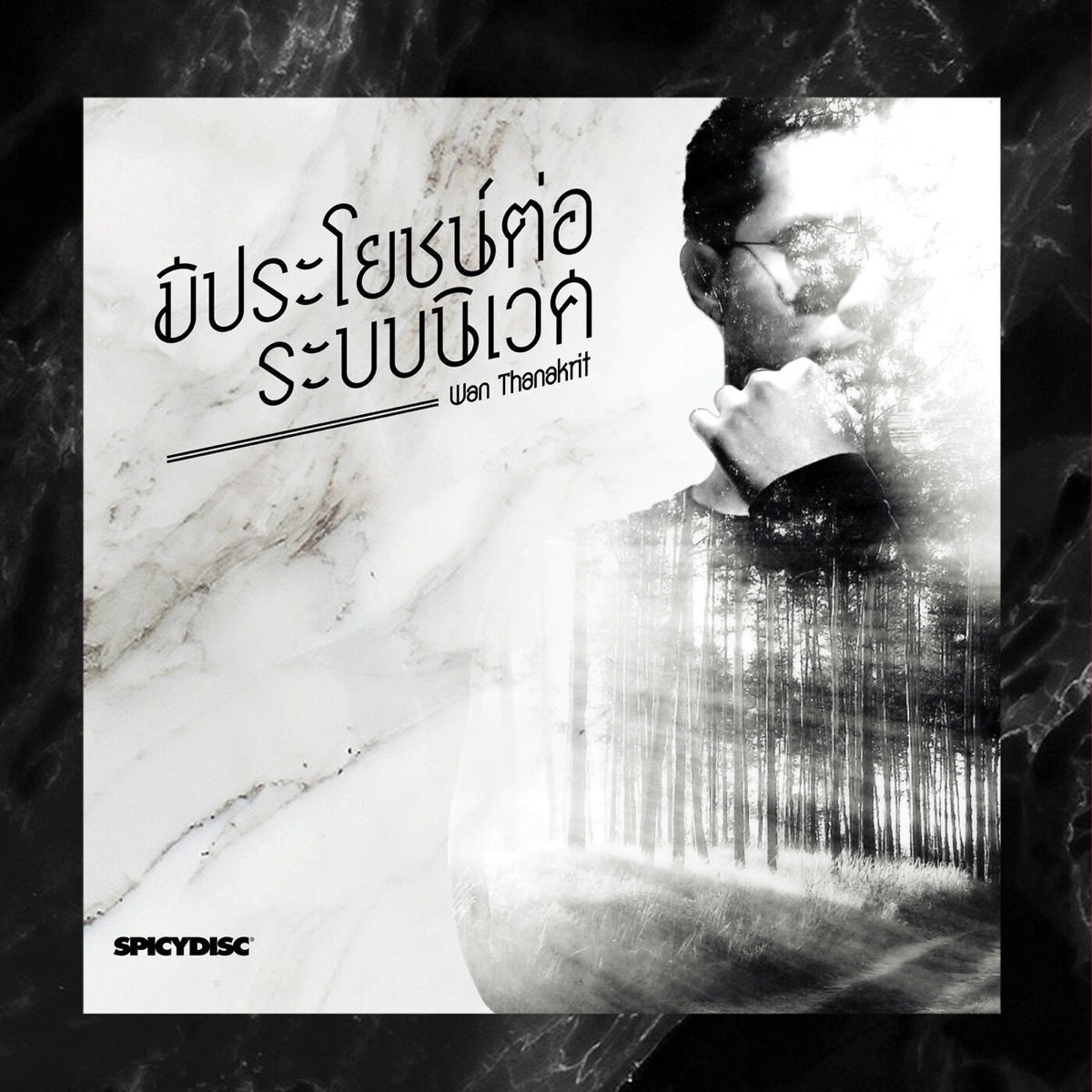 มีประโยชน์ต่อระบบนิเวศ - Single by Wan Thanakrit album cover