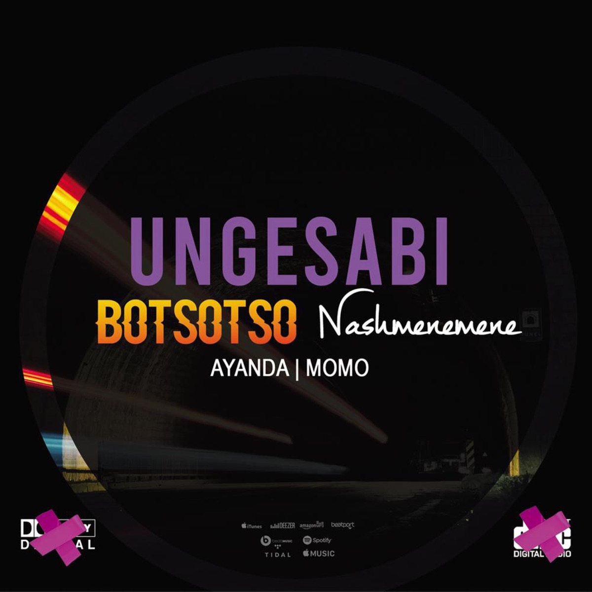 Ungesabi (feat. Botsotso, Ayanda, Momoe & Kbrilliant) - Single by Nashmenemene album cover
