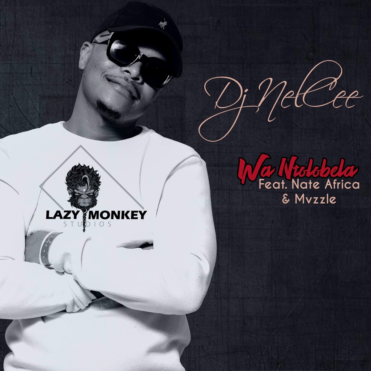 Wan'tolobela (feat. Nate Africa & Mvzzle) - Single by DJ NelCee album cover