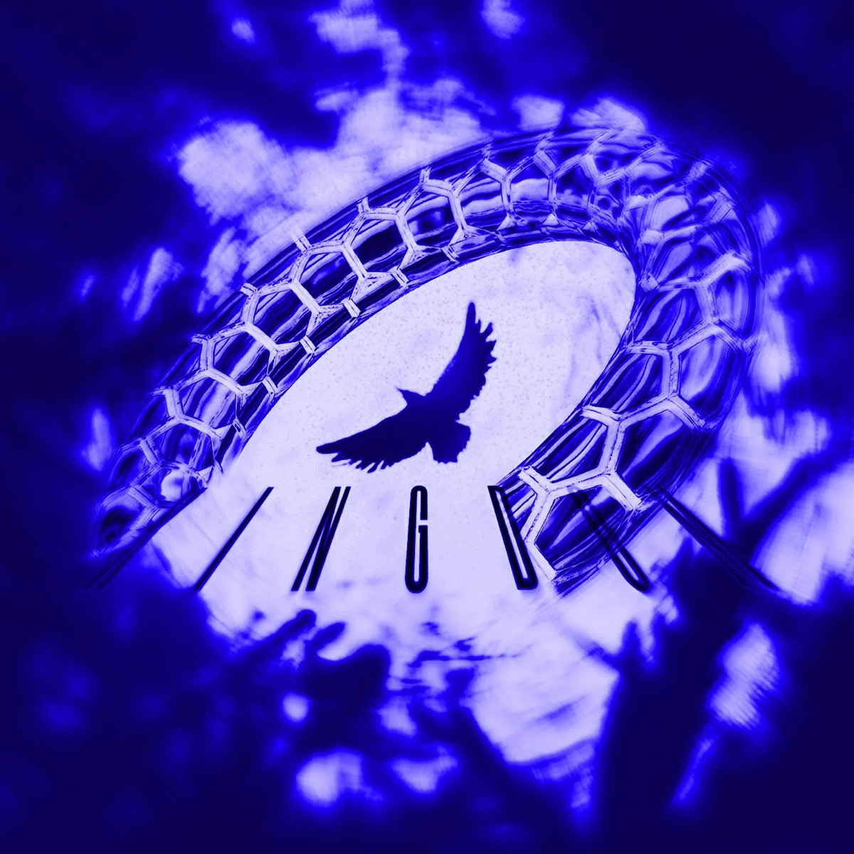 Kingdom - Single by DOXXTR album cover
