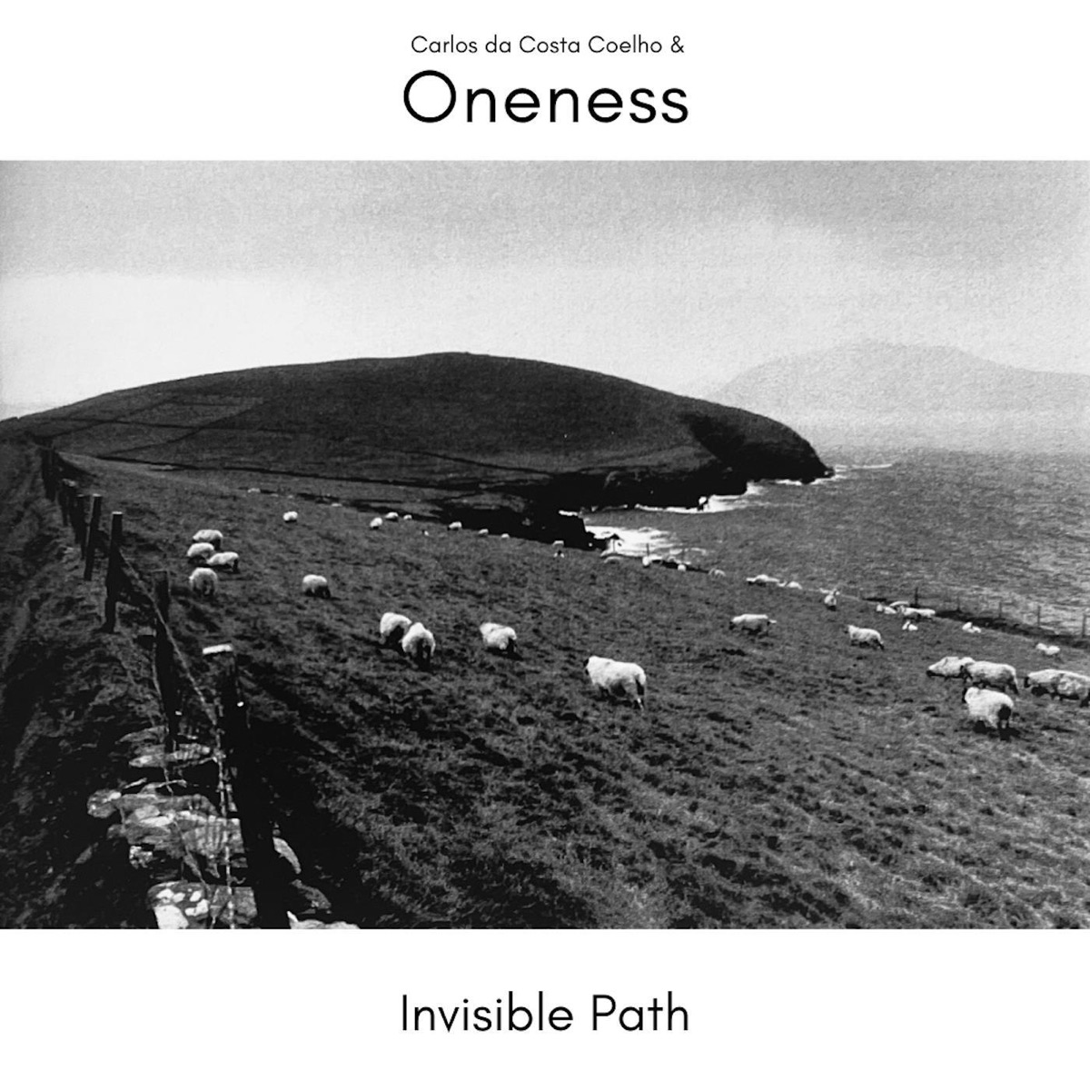 Invisible Path by Carlos da Costa Coelho, Oneness & Saverio Tasca album cover
