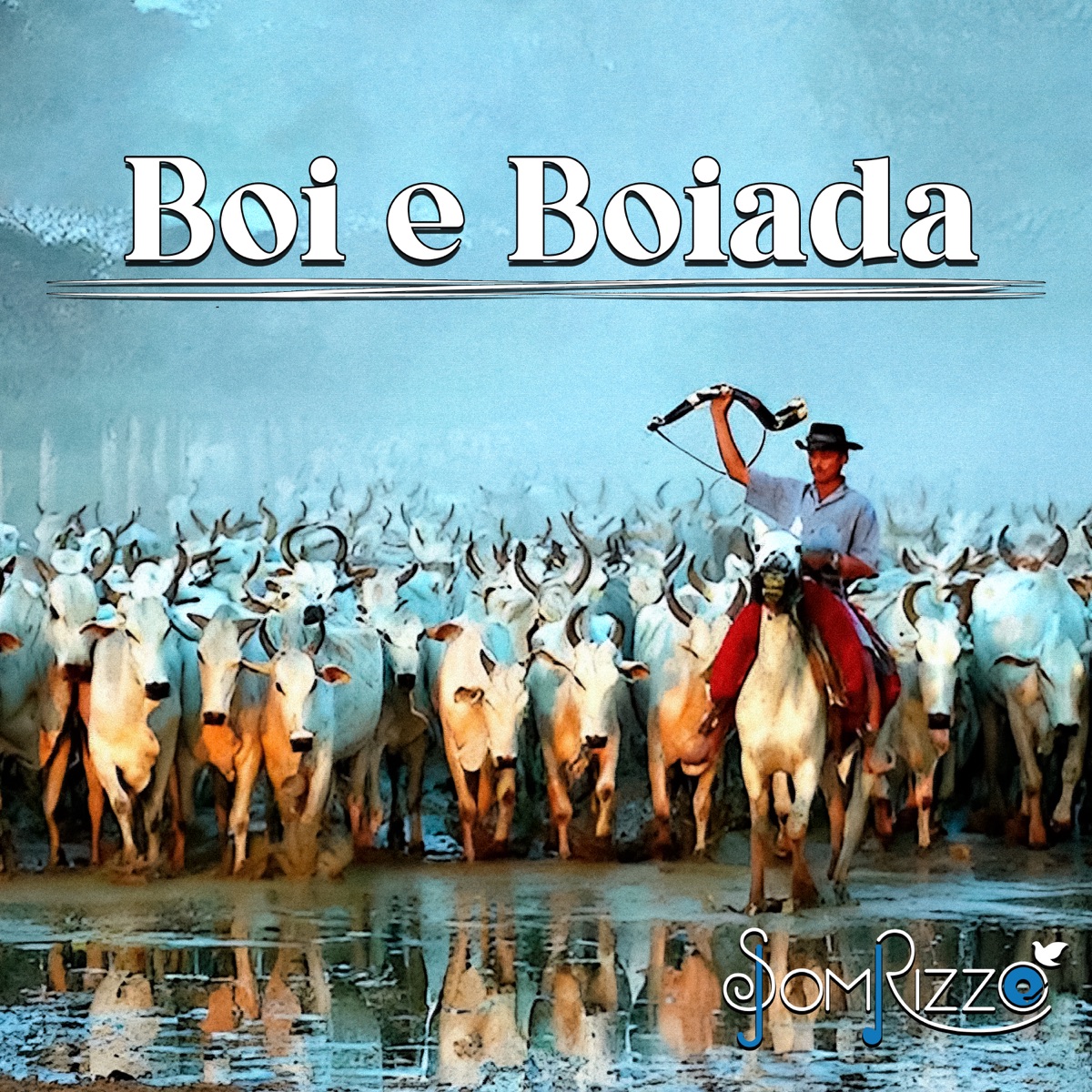 Boi e Boiada - Single by Som Rizzo album cover