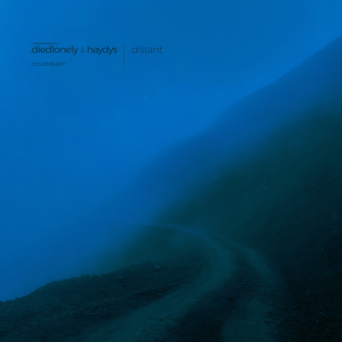 Distant - Single by .diedlonely & haydys album cover