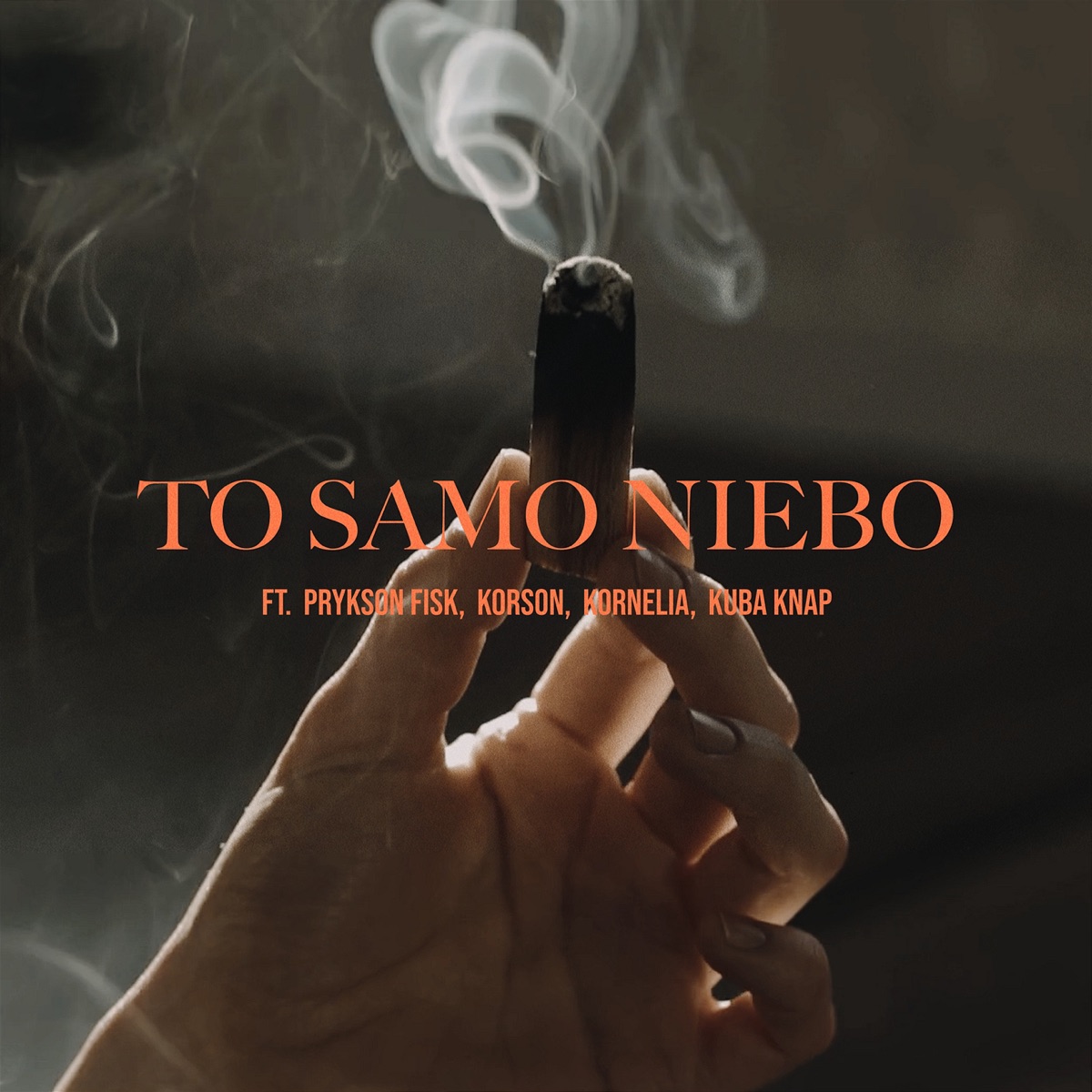 To samo niebo (feat. Prykson Fisk, Korson, Kornelia, Kuba Knap) - Single by DJ Mariano MBH album cover