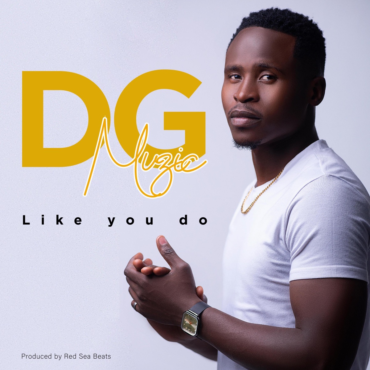Like You Do - Single by DG Muzic album cover