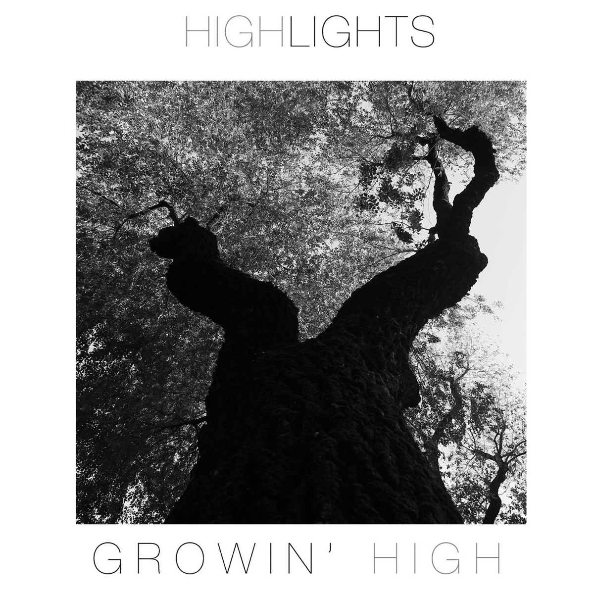 Growin' High (feat. Max De Aloe) by Highlights, Attilio Zanchi, Alfonso Donadio, Giovanni Digiacomo & Gen Cotena album cover