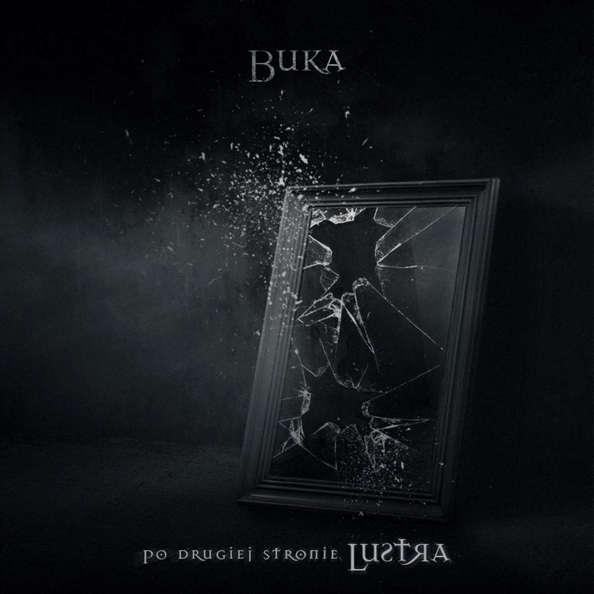Po Drugiej Stronie Lustra 2010 by Buka album cover