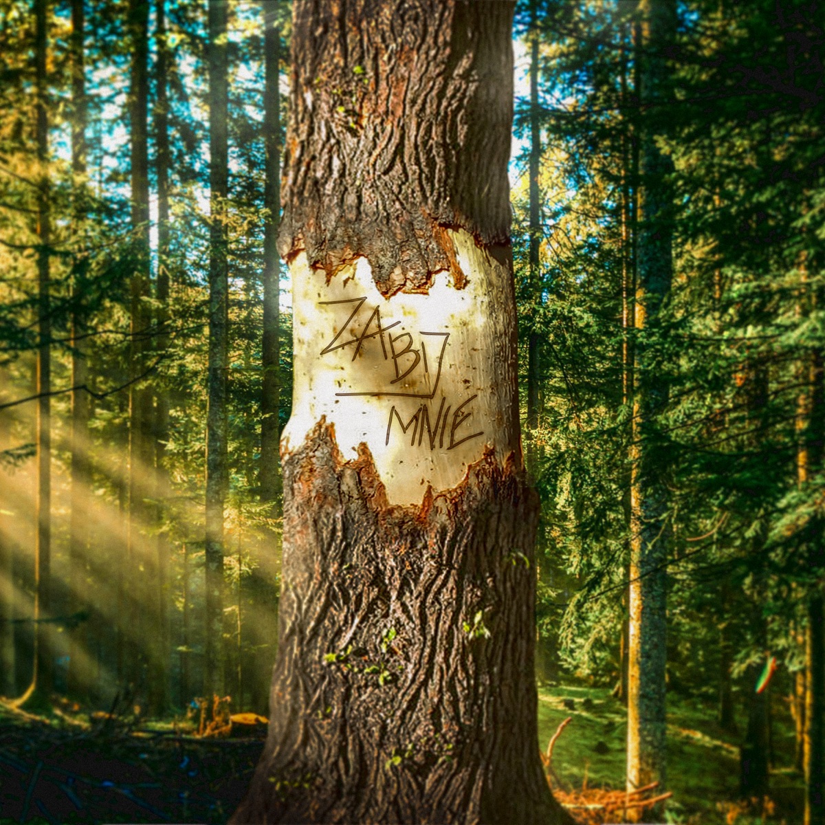 Zabij Mnie - Single by Dominik Łupicki album cover