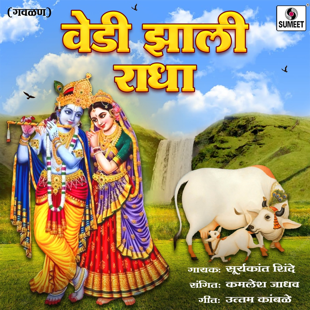 Vedi Zali Radha - Single by Suryakant Shinde album cover