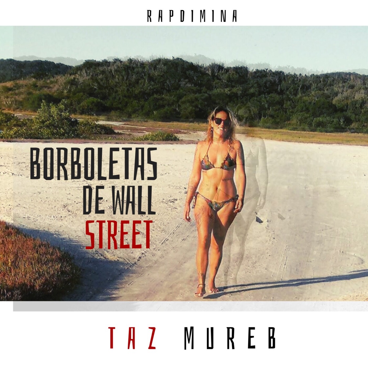 Borboletas de Wall Street - Single by Taz Mureb album cover
