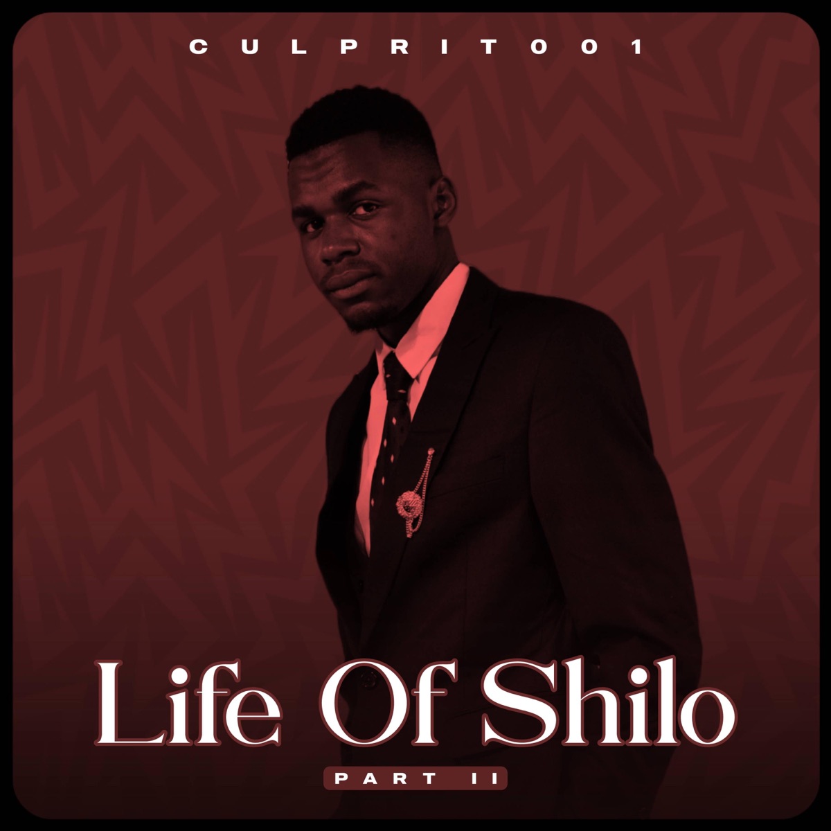 The Life of Shilo, Pt. 2 by Culprit 001 album cover