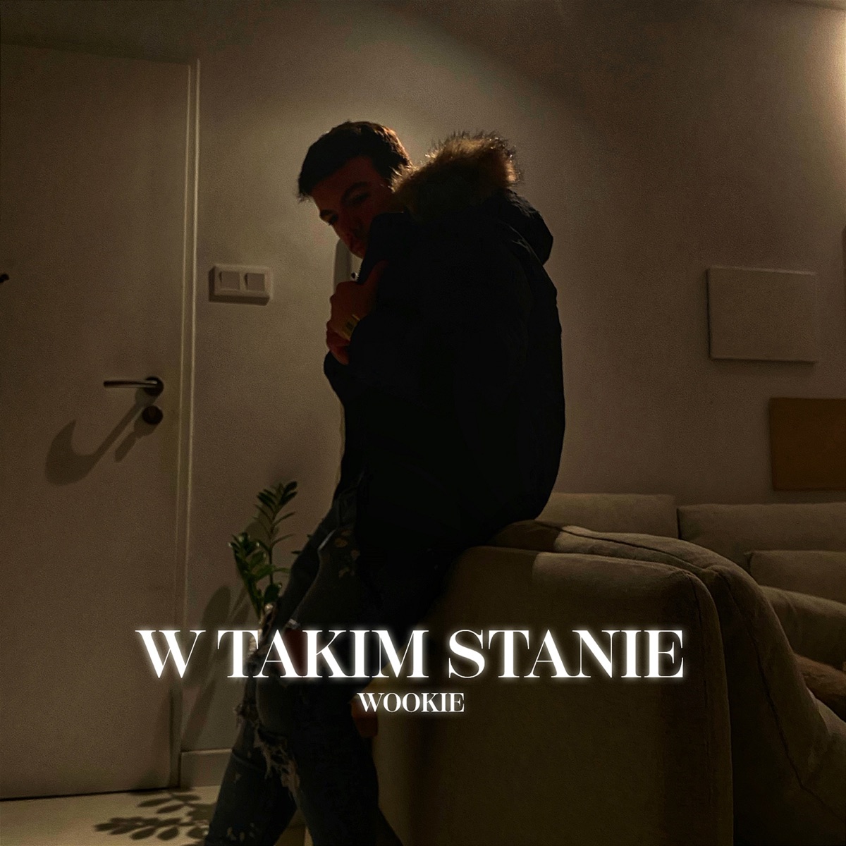 W Takim Stanie - Single by Wookie album cover