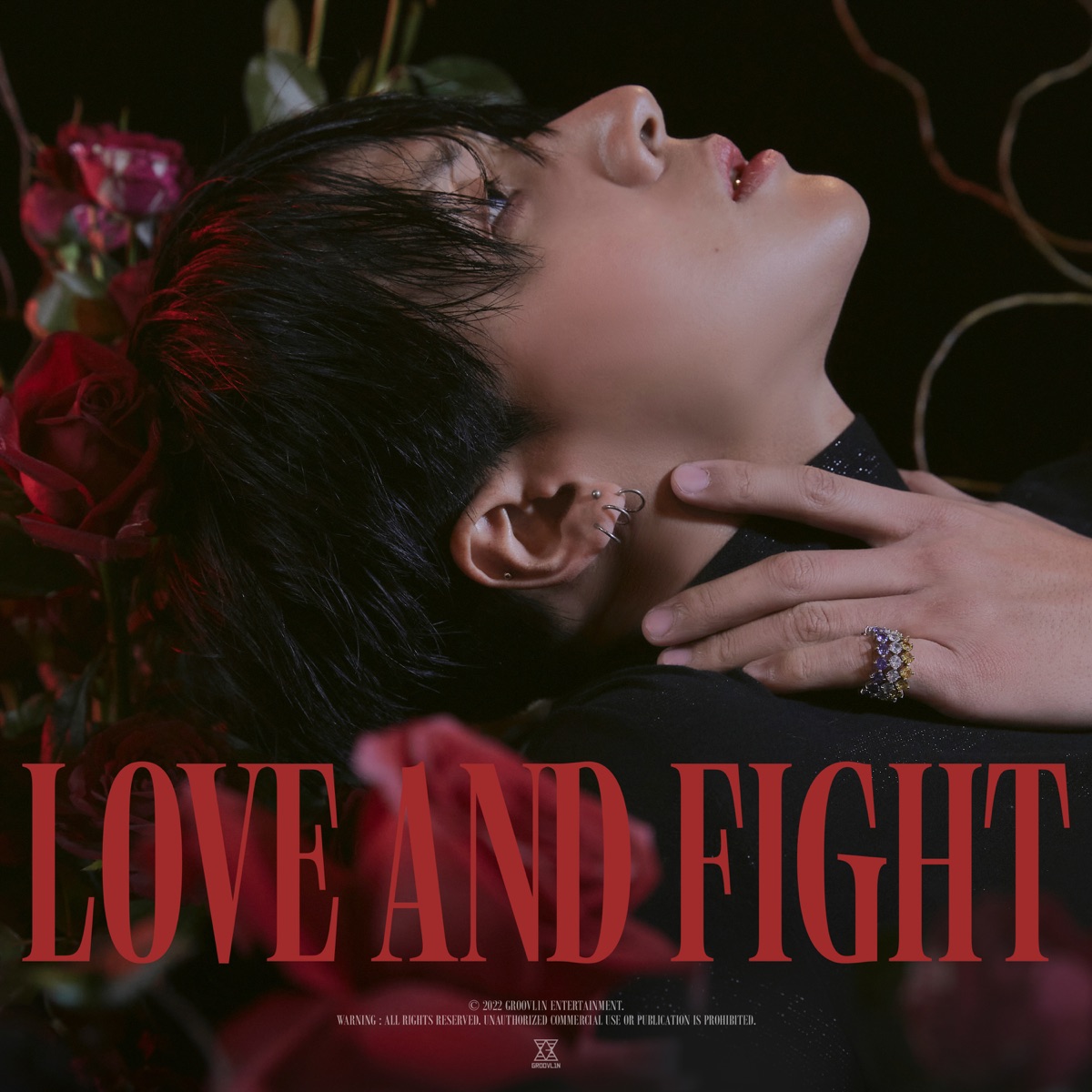 LOVE & FIGHT by RAVI album cover