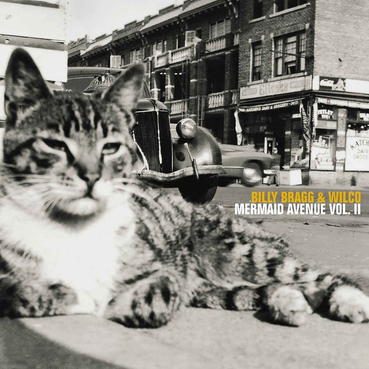 Mermaid Avenue Vol. II by Billy Bragg & Wilco album cover