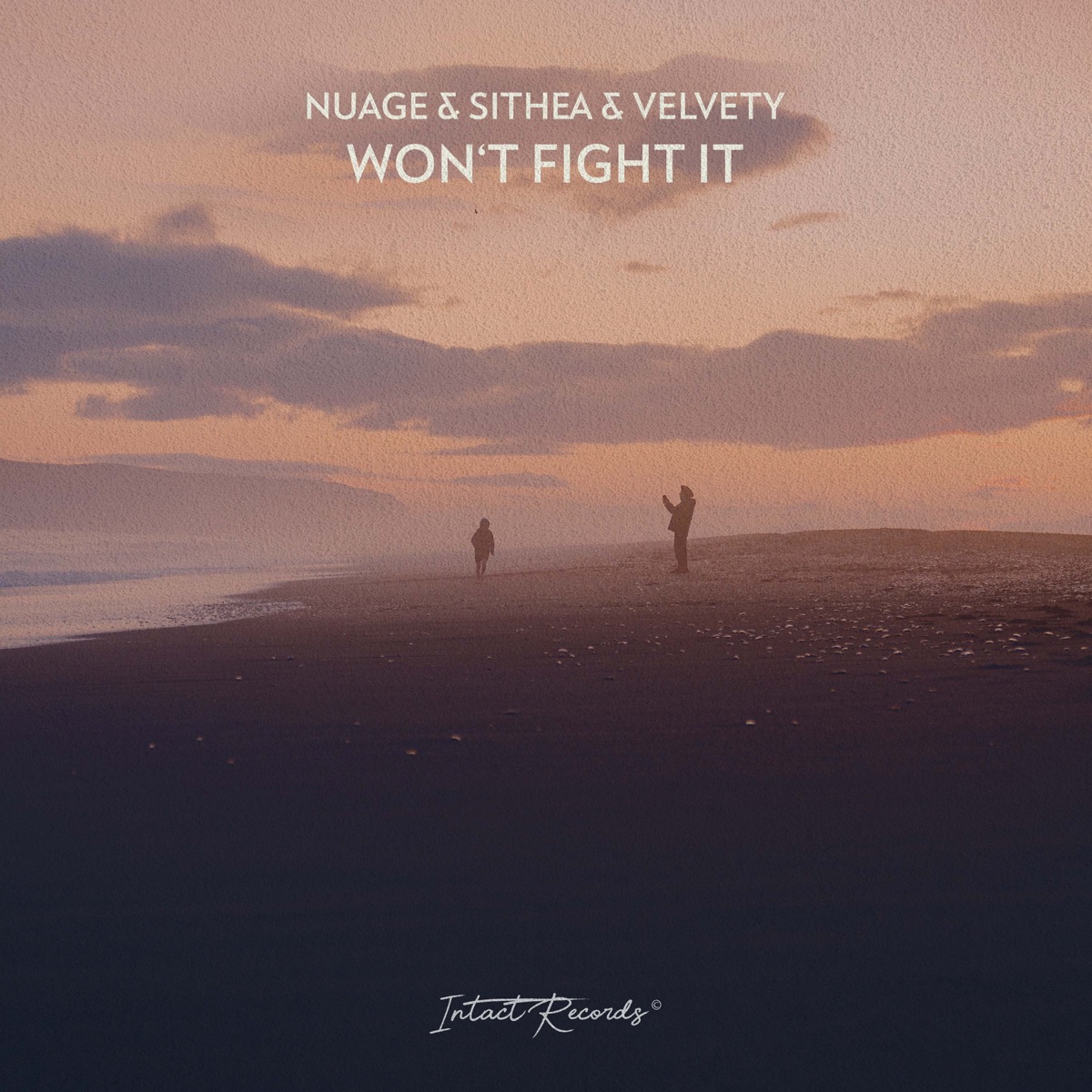 Won't Fight It - Single by Nuage, SITHEA & Velvety album cover