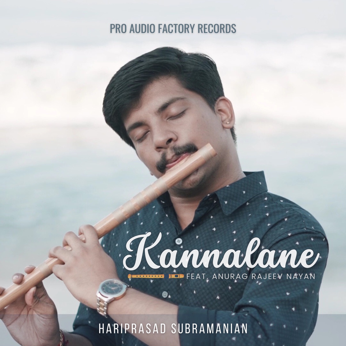 Kannalane (Instrumental Version) [feat. Anurag Rajeev Nayan] - Single by Hariprasad Subramanian album cover