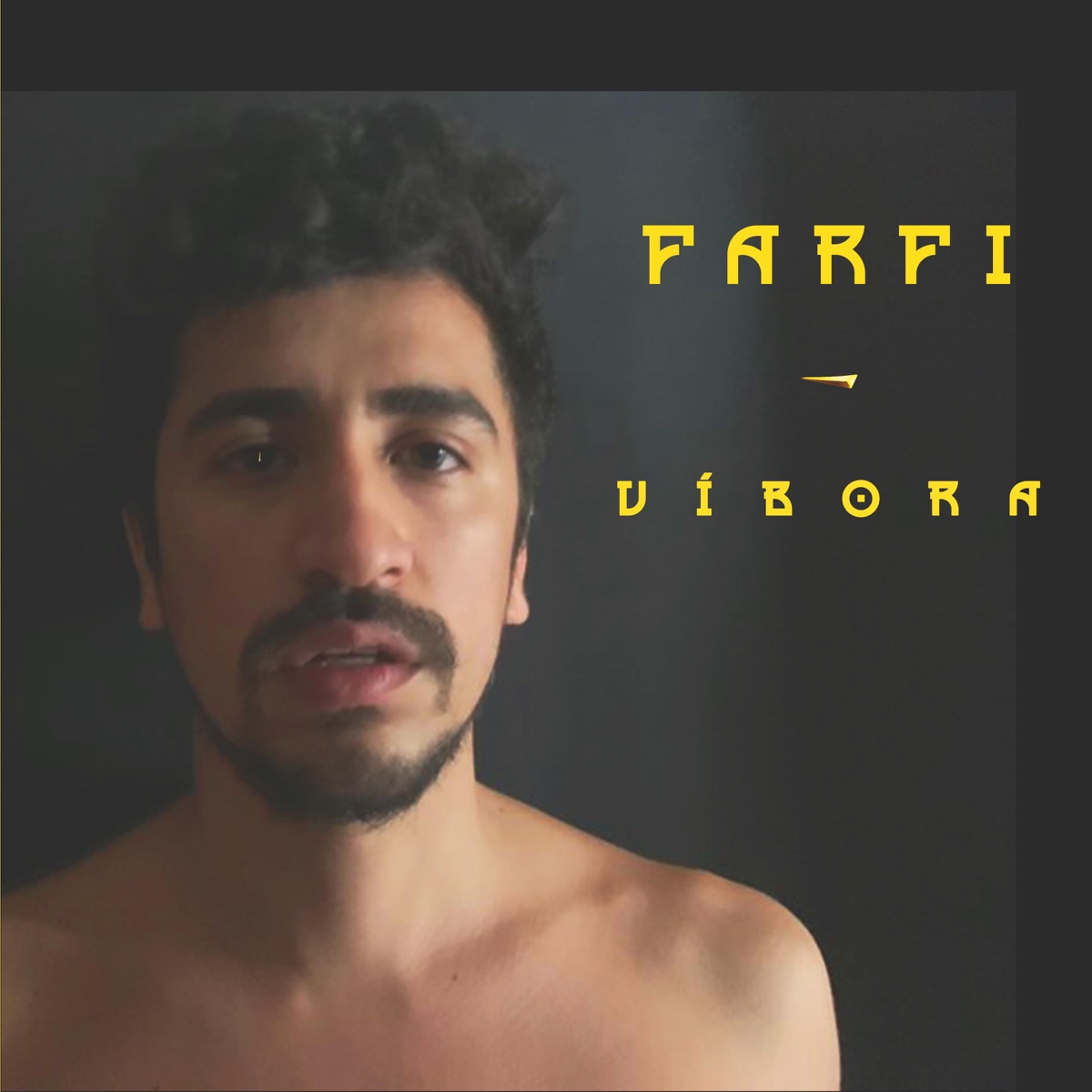Víbora - Single by Farfi album cover