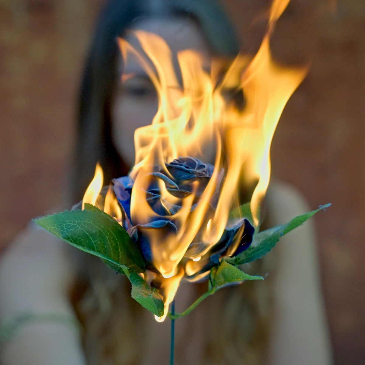 Devotion - Single by Eikonoise album cover