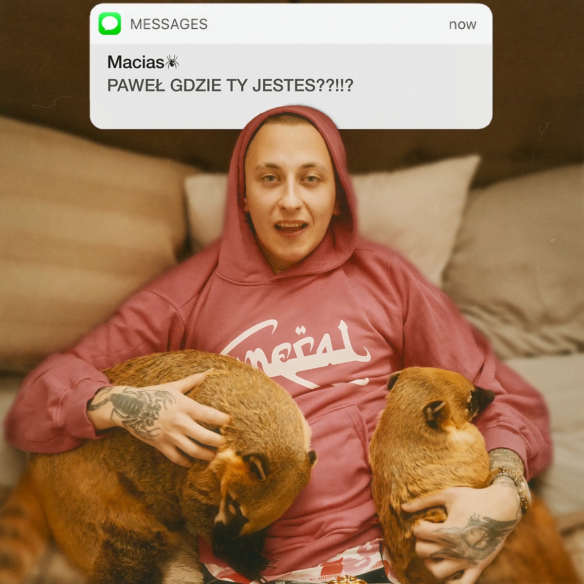 GDZIE TY JESTEŚ - Single by Chłopiec, WHITE WIDOW & BAHsick album cover