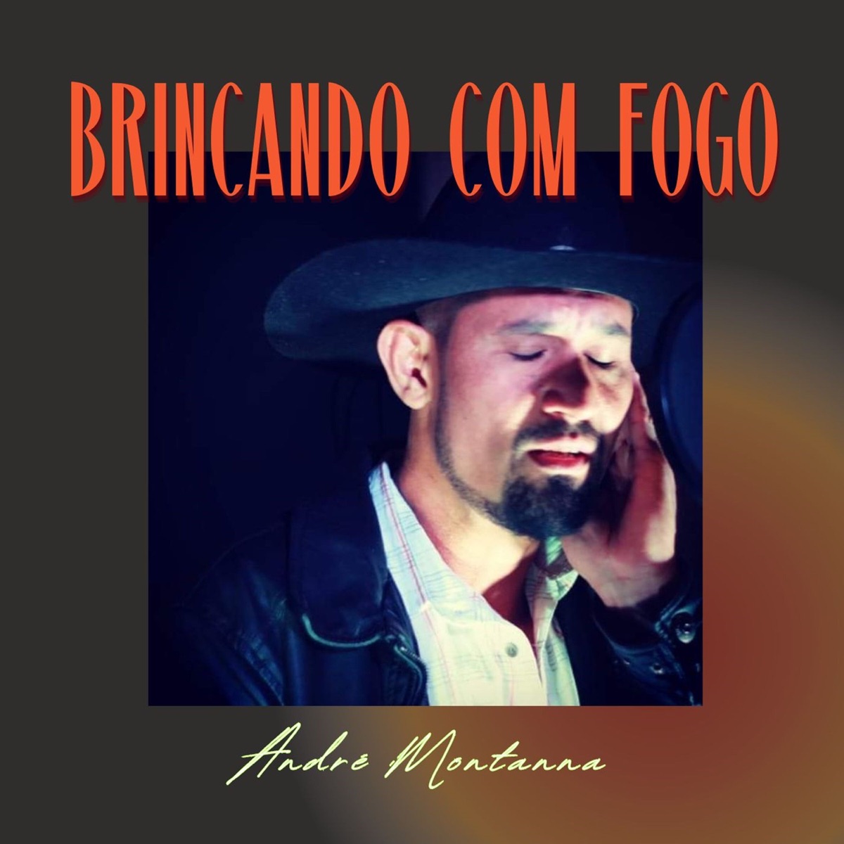 Brincando Com Fogo - Single by André Montanna album cover